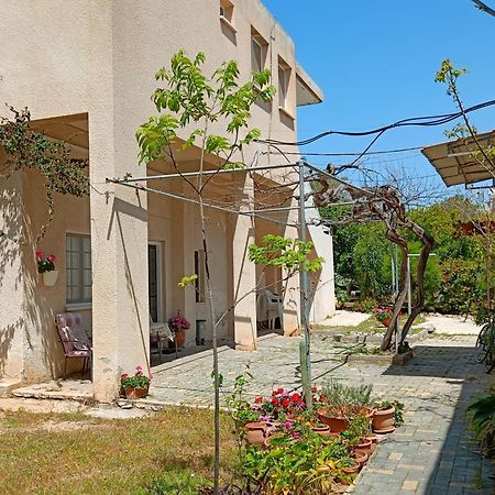 The Grapevine Guest House Paphos Buitenkant foto